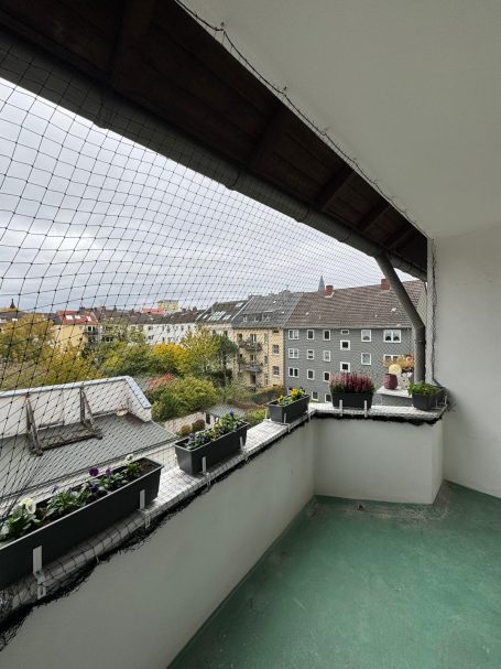 Professionelle Montage Katzennetz