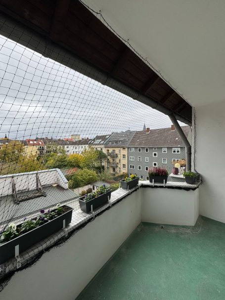 Fachgerecht montiertes Katzennetz zur Sicherung eines Balkons. Katzennetz am Balkon