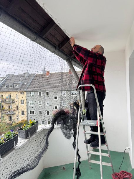 Professionelle Montage Katzennetz